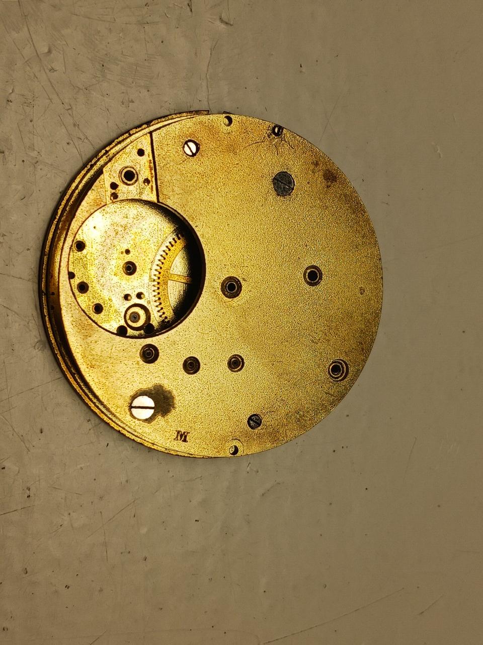 Vue de profil montre Oméga